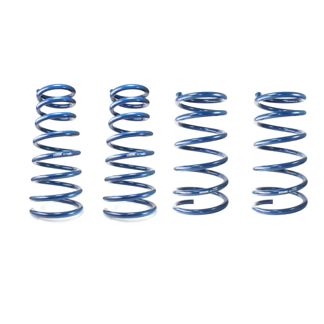 Rallitek Rallitek Overload Lift Spring Kit - Fits 03-08 Subaru Forester 1