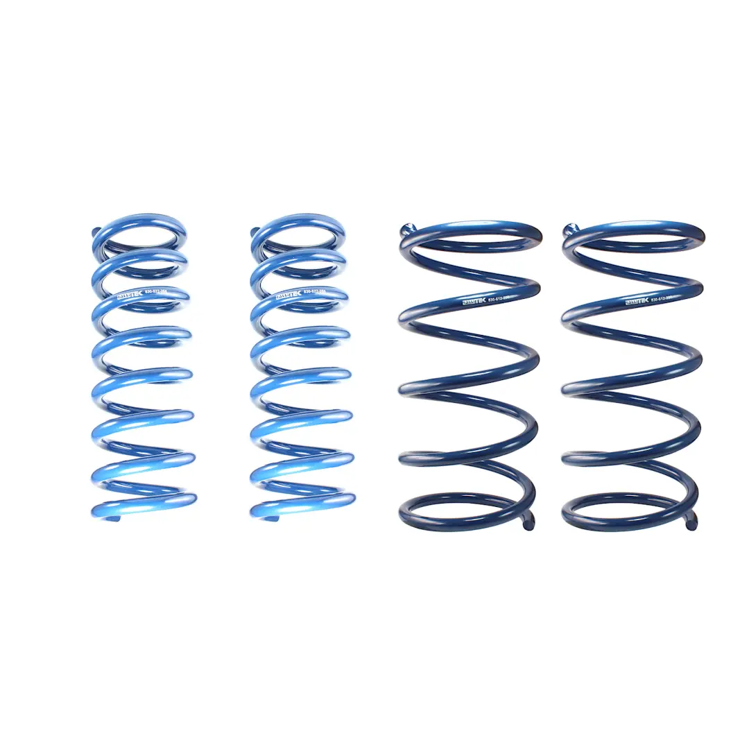 Rallitek Rallitek 1" Lift Overload Spring Kit - Fits 15-19 Subaru Outback 1