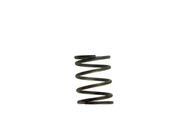 Turbosmart Wg40 5Psi Inner Spring Brown/Grey 1