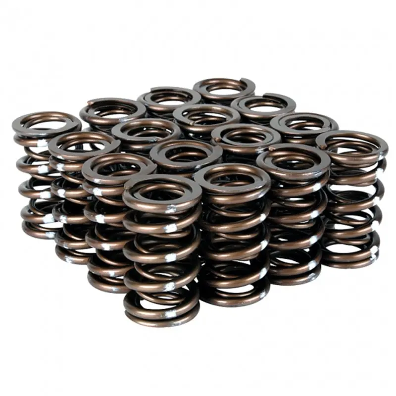 Skunk2 Pro Series Honda/Acura K-Series I-Vtec Xp Valve Spring Set (Dual Springs) 1