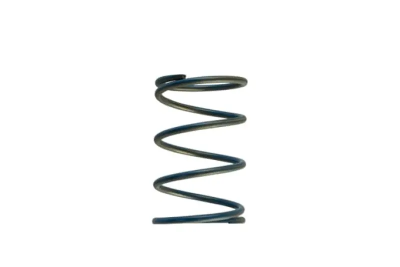 Turbosmart Gen-V Wg45/50 14Psi Blue Outer Spring 1