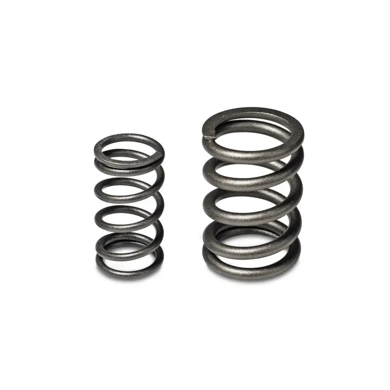 Skunk2 Tuner Series Honda/Acura (B16a/ B17a/ B18c) Dohc Vtec Alpha Valve Spring Set (Dual Springs) 1