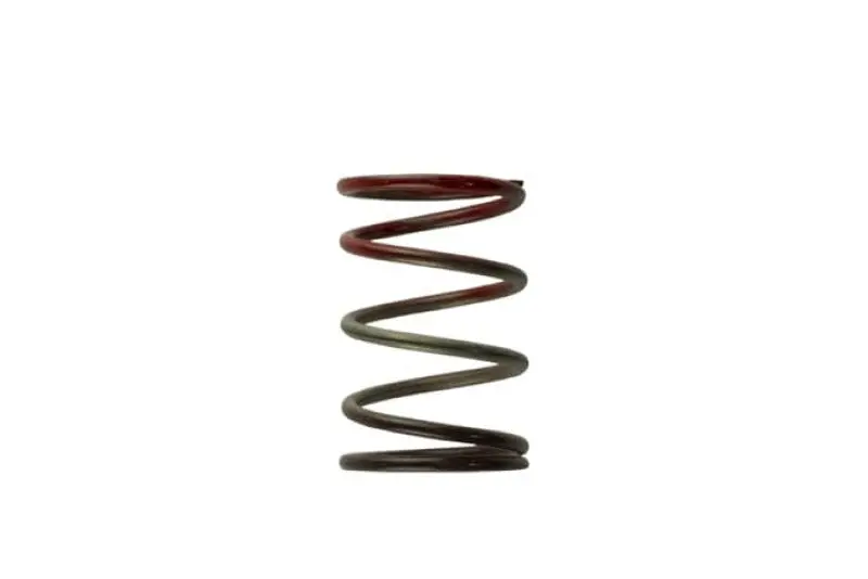 Turbosmart Wg40 11Psi Middle Spring Brown/Red 1
