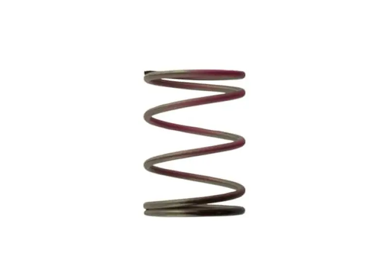 Turbosmart 2011 Wg38/40/45 7Psi Outer Spring Brown/Pink 1