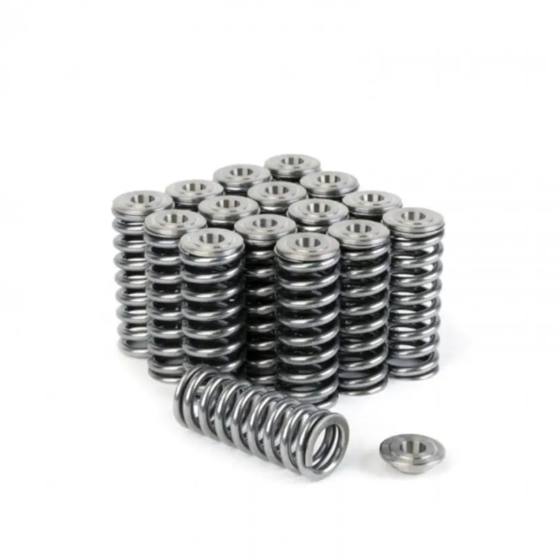Skunk2 Alpha Series Honda/Acura D Series Valve Spring And Titanium Retainer Kit 2