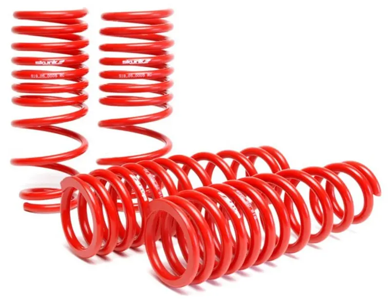 Skunk2 92-95 Honda Civic/Del Sol Lowering Springs (2.50In - 2.25In.) (Set Of 4) 1