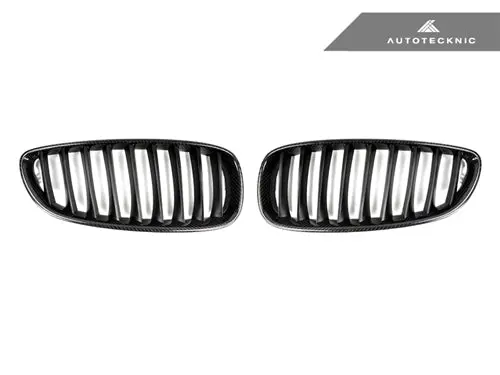 Autotecknic Carbon Fiber Front Grille Set - E89 Z4 Series 1