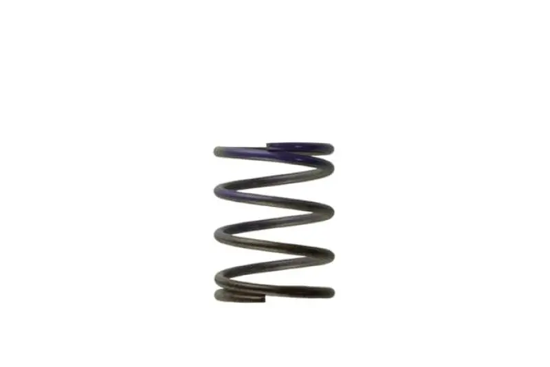 Turbosmart Wg40 7Psi Middle Spring Brown/Purple 1