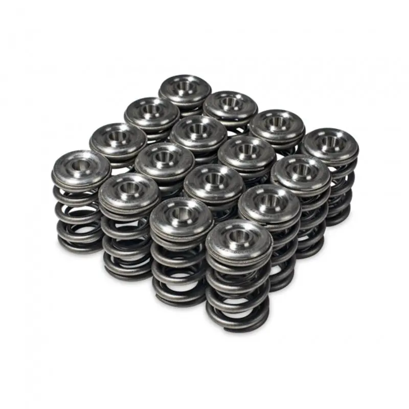 Skunk2 Alpha Series Honda/Acura H Series Valve Spring And Titanium Retainer Kit 1