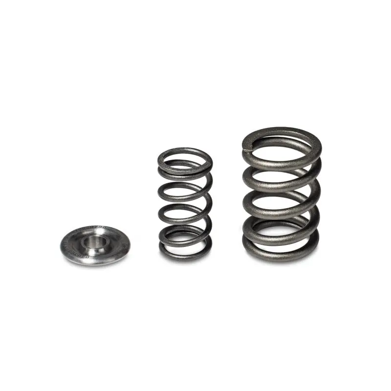 Skunk2 Alpha Series Honda/Acura H Series Valve Spring And Titanium Retainer Kit 2