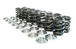 Manley 90-06 Mitsubishi 4G63-4G63t Dsm / Evo Dohc 16 Valve Spring And Retainer Kit (W/O Valve Locks) 1