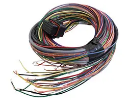Link Engine Management A Loom Medium (2La) 1