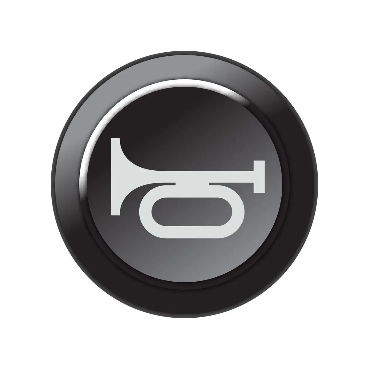 Link Engine Management Can Keypad Insert - Horn 1