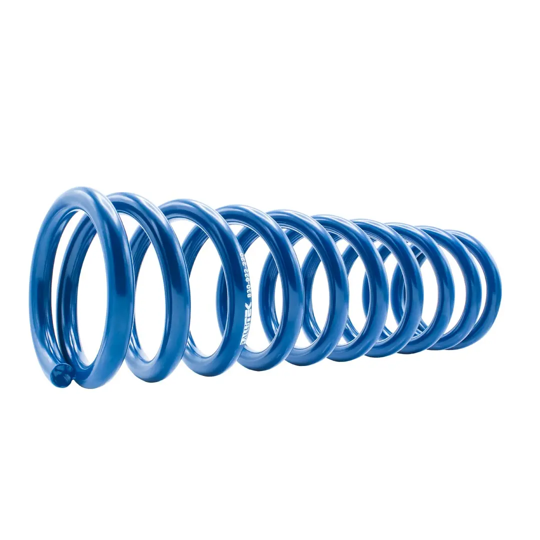 Rallitek Rallitek 1" Lift Overload Spring Kit - Fits 22-25 Subaru Outback Wilderness 2