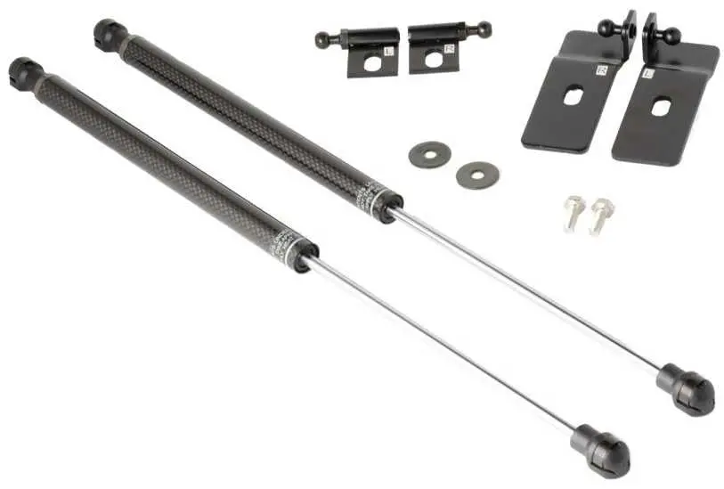 Tomioka Racing Carbon Hood Dampers For Honda S2000 (2000–2009) 1